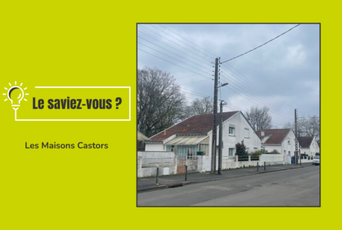 Les Maisons Castors : un mouvement unique en son genre